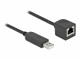 DeLock Anschlusskabel USB-A zu RS-232 RJ45, 50 cm