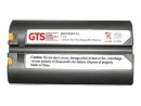 GTS DIRECT REPLACEMENT FOR BATTERY F/MICROFLASH