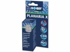 Hobby Aquaristik Zubehör Planaria X, Produkttyp: Falle für Schädlinge