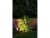 Bild 4 Paulmann Gartenspot Plug & Shine Sting 100° Erweiterung, Leuchten