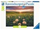 Ravensburger Puzzle Pusteblumen im Sonnenuntergang, Motiv: Landschaft