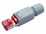 R&M Stecker RJ45 Kat. 6A Feldkonfektion