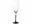 Bild 1 Villeroy & Boch Champagnerglas Rock 260 ml, 4 Stück, Transparent