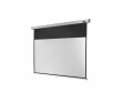 Celexon Rollo Pro 16:9 240x135 cm, Leinwand,