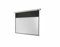 Celexon Rollo-Leinwand Pro 240x135cm 16:9, Leinwandtyp