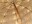 Bild 3 KOOR Sonnenschirm Tiki, 180 cm, Breite: 150 cm, Länge