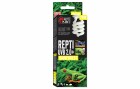 Repti Planet Terrarienlampe Sparlampe 2.0 26 W, Lampensockel: E27