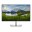 Immagine 2 Dell 24 Monitor - P2425H