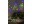 Immagine 1 Star Trading Lichterkette Berry 735 cm, Mehrfarbig, Betriebsart