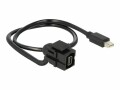 DeLock Delock Keystone PC Modul [mini Displayport