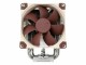 Noctua