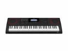 Casio Workstation CT-X5000, Tastatur Keys: 61, Gewichtung: Nicht