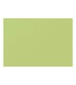 Biella Karteikarten A7 blanko, 100 Stück, Grün, Lineatur: Blanko