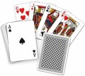 Carta Media Pokerkarten Breitbild international