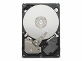 Seagate Pipeline HD ST1000VM002 - Festplatte - 1 TB