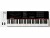 Bild 2 Nektar Keyboard Controller Panorama P6, Tastatur Keys: 61