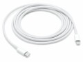 Apple USB-Kabel USB C - Lightning 2 m, Kabeltyp
