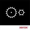 Xerox Phaser 5550 - (220 V) - Wartungskit