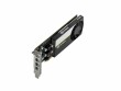 Dell NVIDIA T1000 - Carte graphique - T1000 - 8 Go profil bas