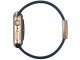 xMount Armband Apple