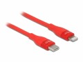 DeLock USB-Kabel USB C - Lightning 1 m, Rot