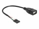 Image 2 DeLock USB 2.0-Kabel Pinheader - USB A 0.2 m