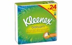 Kleenex Balsam, 24 Packungen