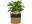 Immagine 5 scheurich Pflanzengefäss mit Griffen 35 x 31 cm
