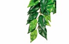 Exo Terra Regenwaldpflanze Fikus, S, Produkttyp Terraristik