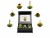 Image 0 Creano Erblühtee grüner Tee fruity flavor 6er Magnetbox