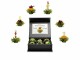 Creano Erblühtee grüner Tee fruity flavor 6er Magnetbox