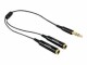 Immagine 3 DeLock Audio-Kabel Klinke 3.5mm, male - Klinke 3.5mm, female