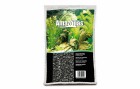 AMAZONAS Bodengrund Aquarienkies 2-3 mm, 15 kg, Schwarz, Grundfarbe