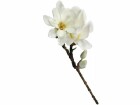 CHALET Kunstblume Magnolia Spray Chayca S 26 cm, Produkttyp