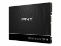 PNY CS900 - Solid-State-Disk - 120 GB - intern