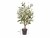 Bild 1 Botanic-Haus Kunstpflanze Olivenbaum, 60 cm, Produkttyp: Topfpflanze