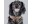 Image 1 Dog with a mission Halsband Joplin, XL, 4 cm, Halsumfang: 47