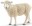 Schafe besitzen eine kuschelige Wolle, die sie im Winter vor der Kälte schützt.