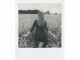 Image 2 Polaroid Originals Sofortbildfilm 600 ? 8 Sofortbilder
