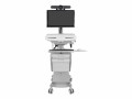 Ergotron Telemedicine - Wagen - für LCD-Display / PC-Ausrüstung