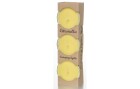 balthasar Gartenkerze Citronella 8 cm, 3 Stück, Gelb, Bewusste