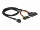 DeLock PCI-E U.2-Kabel SFF-8643 - SFF-8639 75 cm, Datenanschluss