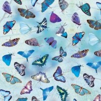 URSUS     URSUS Scrapbook transp. 70010020 Schmetterlinge, blau 5