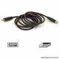 BELKIN 6ft USB A/A 2.0 Extension Cable