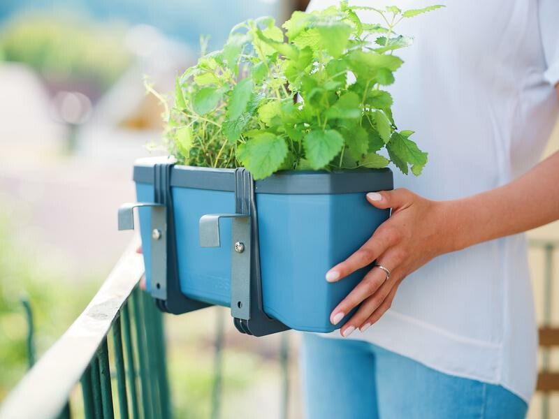 Garden Volumen > > Blau Webshop > : & Freizeit Gusta Do-it mit Bepflanzung Haube & > HERBS > Garden PCI Kräutertopf Büro HARRY