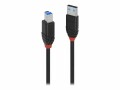 LINDY - USB-Kabel - USB Typ A (M) zu