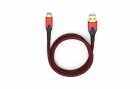 Oehlbach USB 3.1-Kabel Evolution C3 USB A - USB