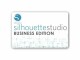 Silhouette Software Business Edition Update ESD, Produkttyp