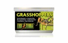 Exo Terra Dosenfutter Grasshoppers, 34 g, Reptilienart: Agamen