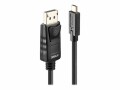 LINDY - DisplayPort-Kabel - USB-C (M) zu DisplayPort (M